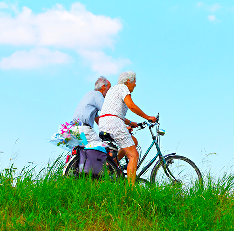 Colocation seniors à la campagne : nature et convivialité pour vivre en toute sérénité